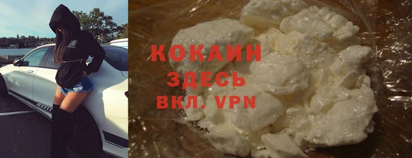 дурь Вяземский