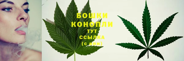 дурь Вяземский