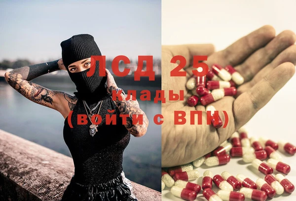 дурь Вяземский